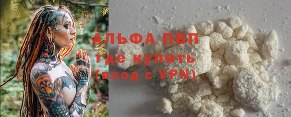 индика Лагань