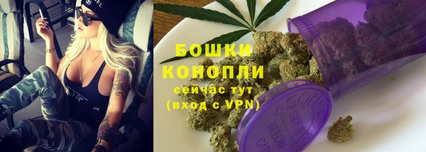скорость Ладушкин